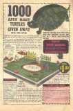 Web_of_Evil_008_Page-34