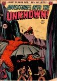 Adventures into the Unknown 010