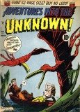 Adventures into the Unknown 017