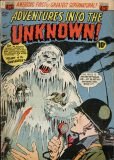 Adventures into the Unknown 040