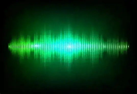 The Voice in the Dark